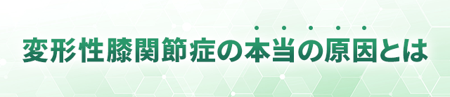 変形性膝関節症の本当の原因とは